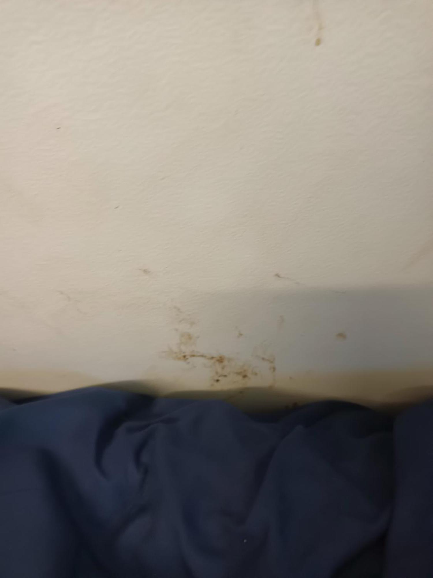 Single Room In Wollongong Near Uni Keiraville Δωμάτιο φωτογραφία
