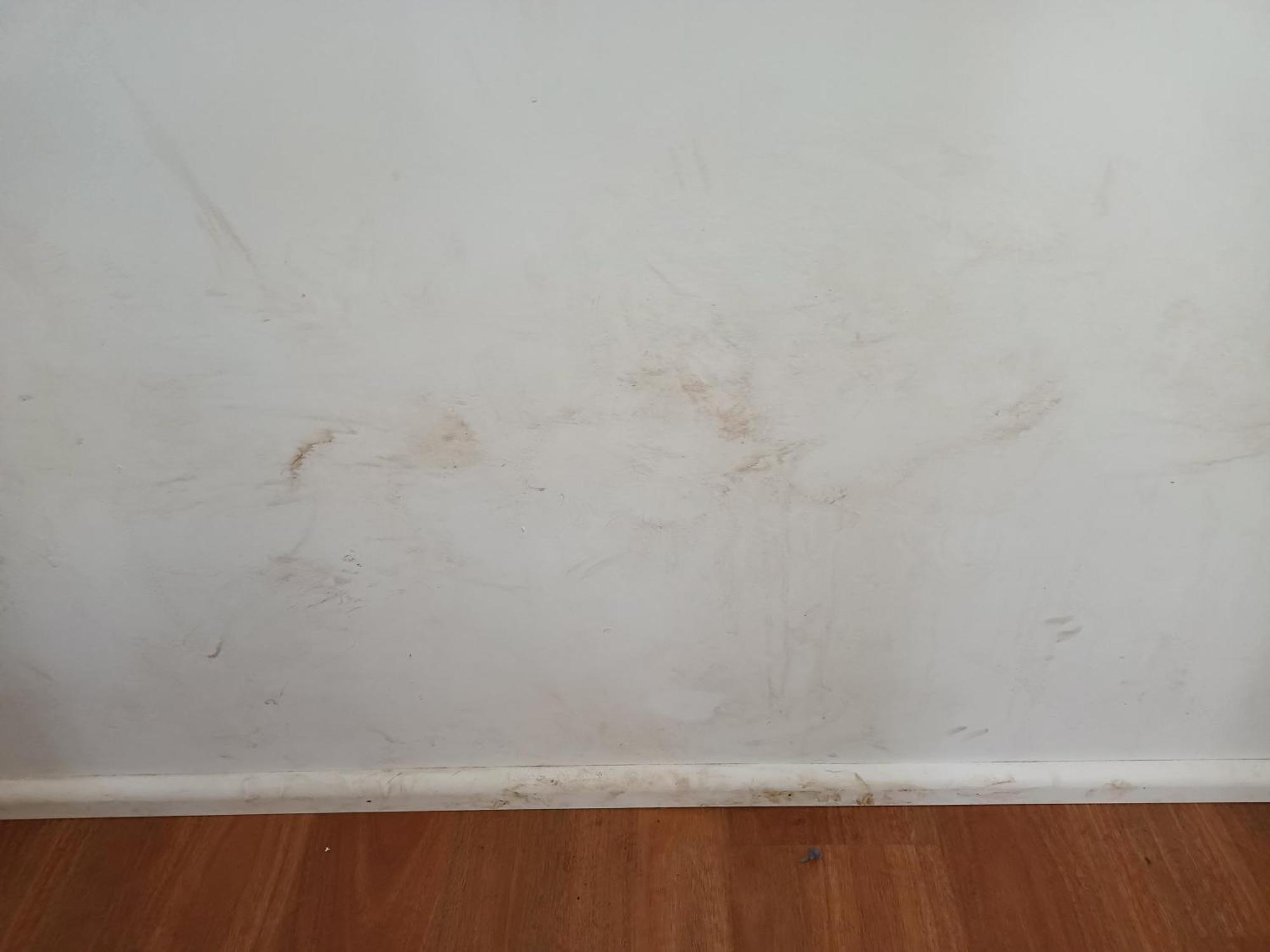 Single Room In Wollongong Near Uni Keiraville Δωμάτιο φωτογραφία
